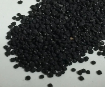 Black Kulfa Seeds